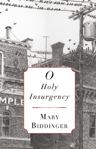 9781937854201: O Holy Insurgency