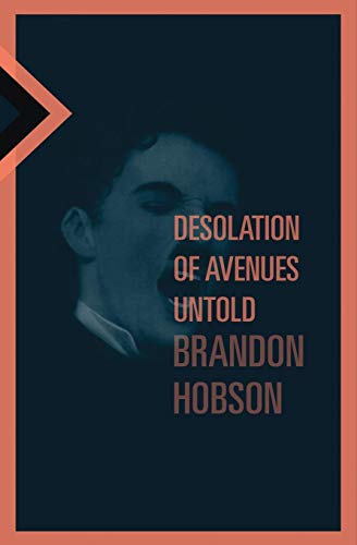 Beispielbild fr Desolation of Avenues Untold zum Verkauf von Gardner's Used Books, Inc.