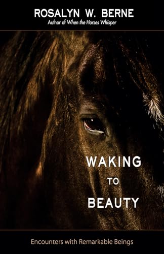 Stock image for Waking to Beauty: Encounters with Remarkable Beings for sale by ThriftBooks-Dallas