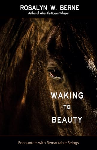 Stock image for Waking to Beauty : Encounters with Remarkable Beings for sale by Better World Books: West