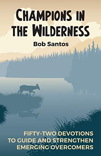 Imagen de archivo de Champions in the Wilderness: Fifty-two Devotions to Guide and Strengthen Emerging Overcomers a la venta por Your Online Bookstore