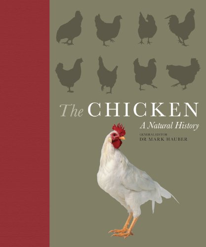 Stock image for The Chicken: A Natural History for sale by SecondSale
