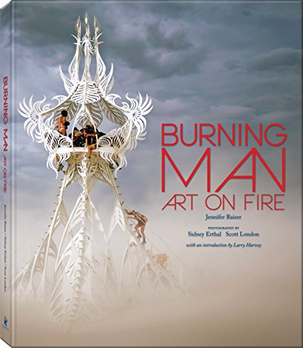 9781937994372: Burning Man: Art on Fire