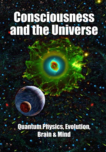 Imagen de archivo de Consciousness and the Universe: Quantum Physics, Evolution, Brain & Mind a la venta por Lucky's Textbooks