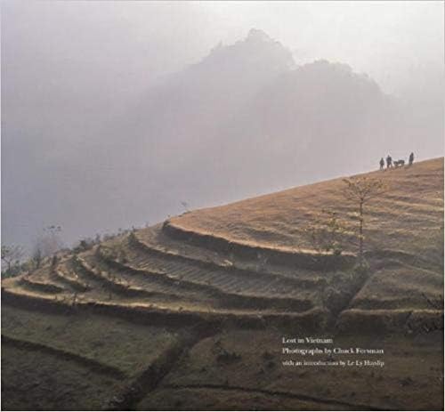 Stock image for Lost in Vietnam for sale by Books From California