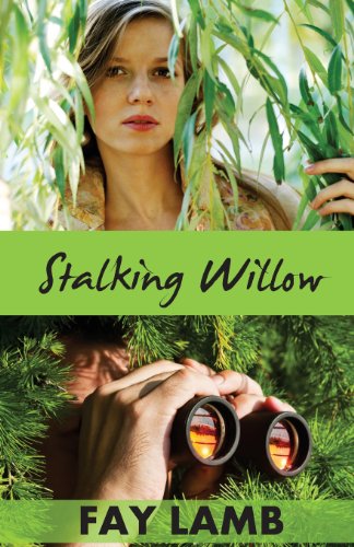 Stock image for Stalking Willow (Amazing Grace) for sale by Lucky's Textbooks