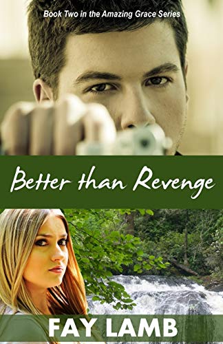 Stock image for Better than Revenge (Amazing Grace) for sale by Irish Booksellers