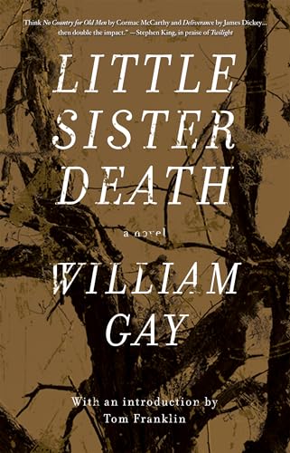 Imagen de archivo de Little Sister Death: A Novel a la venta por St Vincent de Paul of Lane County