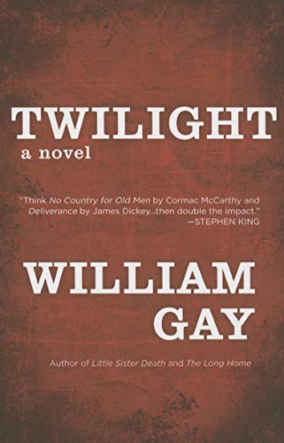 Beispielbild fr Twilight zum Verkauf von Better World Books
