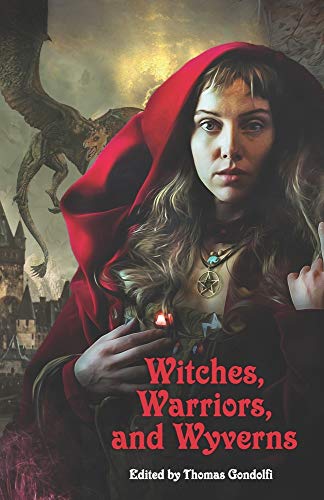 Stock image for Witches, Warriors, and Wyverns for sale by Book Deals