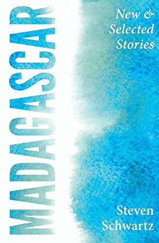 Beispielbild fr Madagascar: New and Selected Stories zum Verkauf von Better World Books