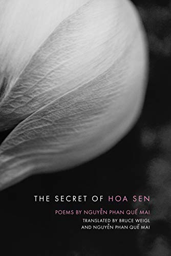 9781938160523: The Secret of Hoa Sen