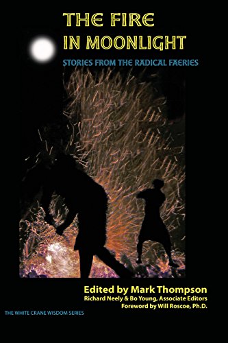 Stock image for The Fire in Moonlight: Stories from the Radical Faeries 1971 - 2010 for sale by GF Books, Inc.