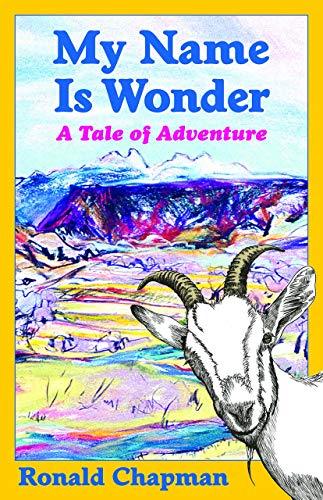 Stock image for My Name Is Wonder: A Tale of Adventure for sale by Half Price Books Inc.