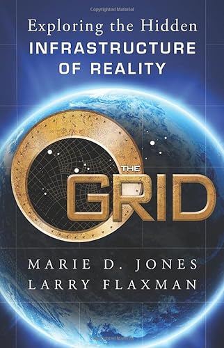 Stock image for The Grid: Exploring the Hidden Infrastructure of Reality for sale by Decluttr