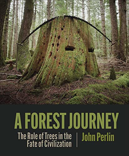 Stock image for TheForestJourney Format: Hardback for sale by INDOO