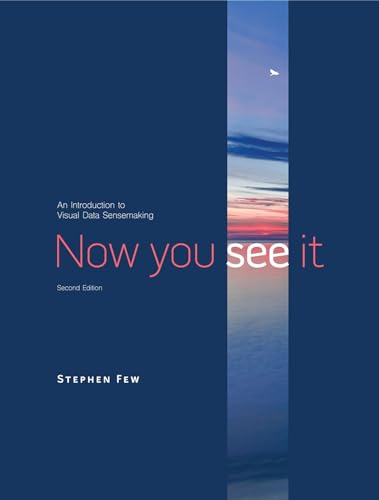 9781938377129: Now You See It: An Introduction to Visual Data Sensemaking
