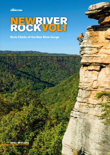 Stock image for New River Rock Volume 1 for sale by Seattle Goodwill
