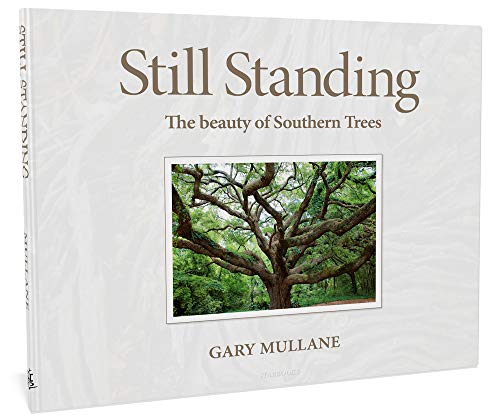 Stock image for Still Standing, The beauty of Southern Trees. Photography Coffee Table Gift Book for sale by SecondSale