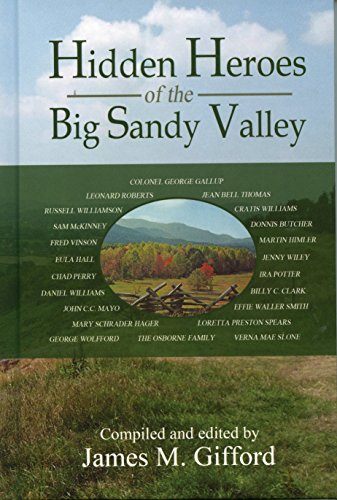 Imagen de archivo de Hidden Heroes of the Big Sandy Valley a la venta por ThriftBooks-Atlanta