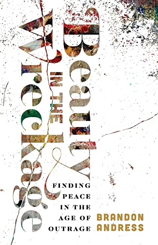 Beispielbild fr Beauty in the Wreckage: Finding Peace in the Age of Outrage zum Verkauf von Russell Books