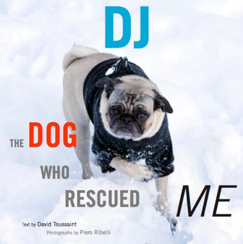 Stock image for DJ : The Dog Who Rescued Me for sale by Better World Books: West