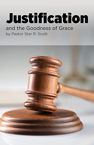 Stock image for Justification: and the Goodness of Grace for sale by Lucky's Textbooks