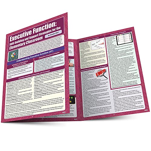 Imagen de archivo de Executive Function: Skill-building Support Strategies for the Elementary Classroom a la venta por GF Books, Inc.