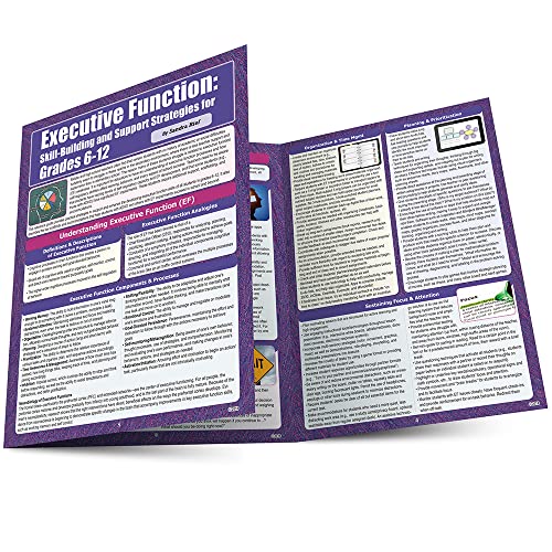 Imagen de archivo de Executive Function: Skill Building and Support Strategies, Grades 6-12 a la venta por Books Unplugged