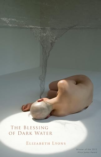 Stock image for The Blessing of Dark Water for sale by Better World Books