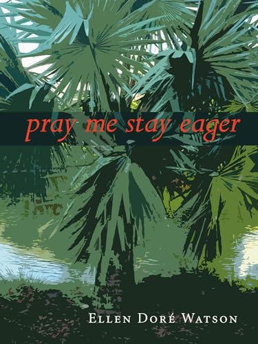 Beispielbild fr pray me stay eager zum Verkauf von Wonder Book