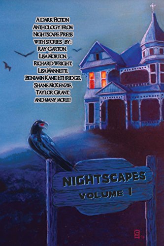 9781938644115: Nightscapes: Volume 1