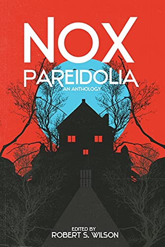 Stock image for Nox Pareidolia for sale by Dream Books Co.