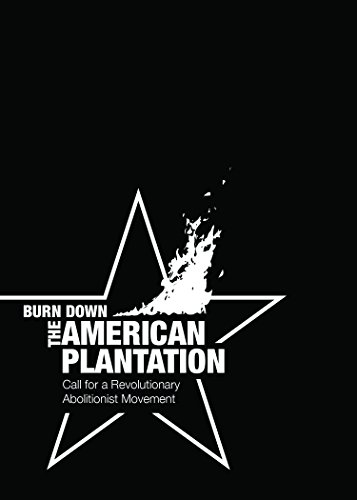 Stock image for Burn Down the American Plantation for sale by Hippo Books