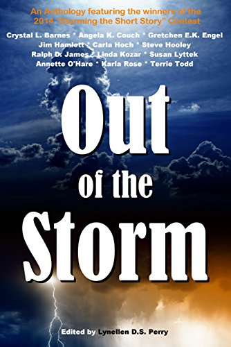 Stock image for Out of the Storm for sale by MyLibraryMarket