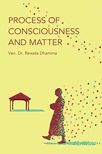 Beispielbild fr Process of Consciousness and Matter zum Verkauf von WorldofBooks