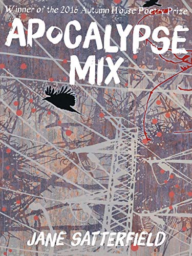 Beispielbild fr Apocalypse Mix zum Verkauf von Wonder Book