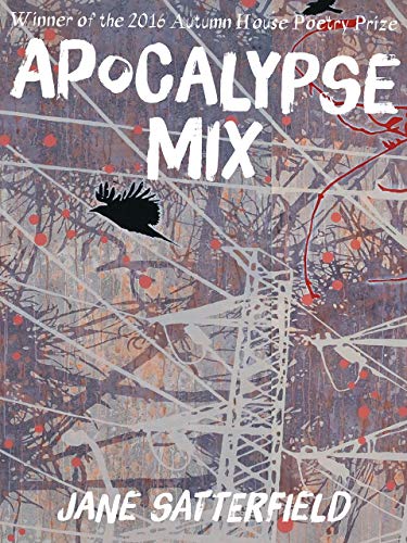 Imagen de archivo de Apocalypse Mix a la venta por Wonder Book