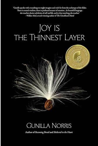 9781938846656: Joy is the Thinnest Layer