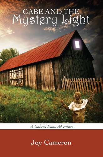 Beispielbild fr Gabe and the Mystery Light zum Verkauf von ThriftBooks-Dallas