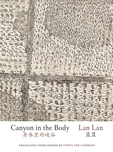 Beispielbild fr Canyon in the Body (Jintian) zum Verkauf von WorldofBooks