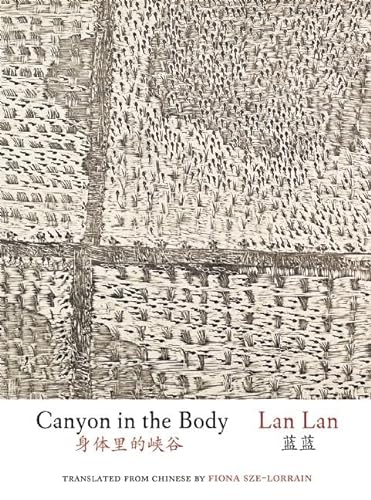 Stock image for Canyon in the Body Format: Paperback for sale by INDOO