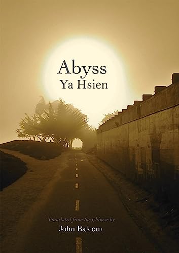 Stock image for Abyss Format: Paperback for sale by INDOO