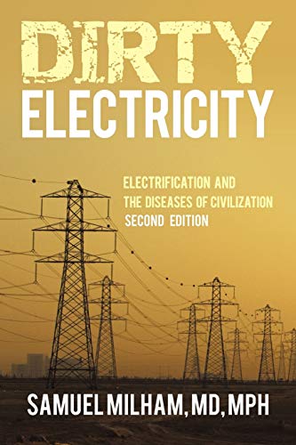 Imagen de archivo de Dirty Electricity: Electrification and the Diseases of Civilization a la venta por HPB-Diamond