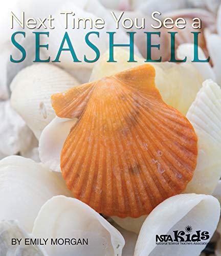 Stock image for Next Time You See a Seashell for sale by BooksRun