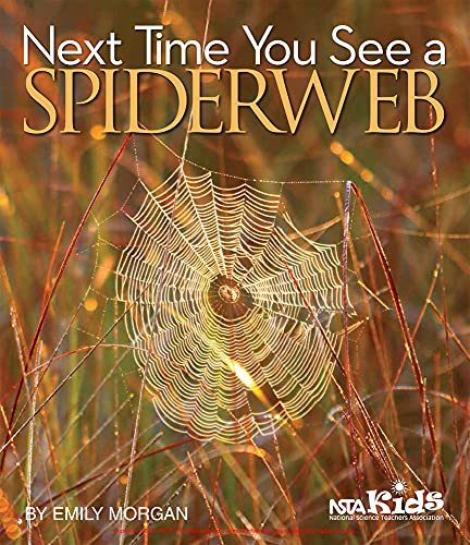 Stock image for Next Time You See a Spiderweb for sale by Better World Books