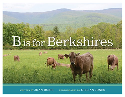 Imagen de archivo de B is for Berkshires a la venta por Bibliomadness