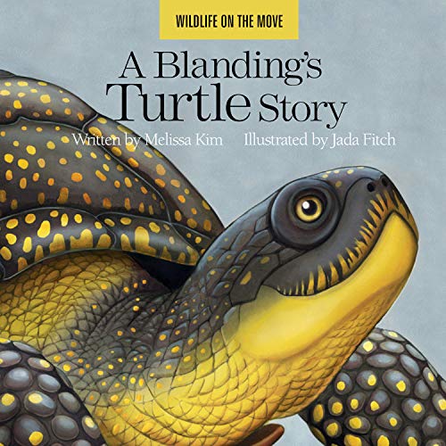 Stock image for A Blandings Turtle Story (Wildlife on the Move) for sale by Goodwill of Colorado