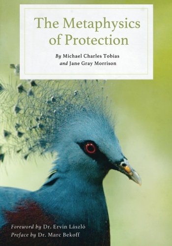 Beispielbild fr The Metaphysics of Protection zum Verkauf von Revaluation Books