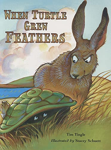 Stock image for When Turtle Grew Feathers: A Folktale from the Choctaw Nation for sale by Goodwill